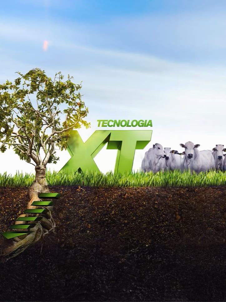 Montagem conceitual sobre a tecnologia XT da Corteva, mostrando um corte transversal do solo e um rebanho de gado na superfície.