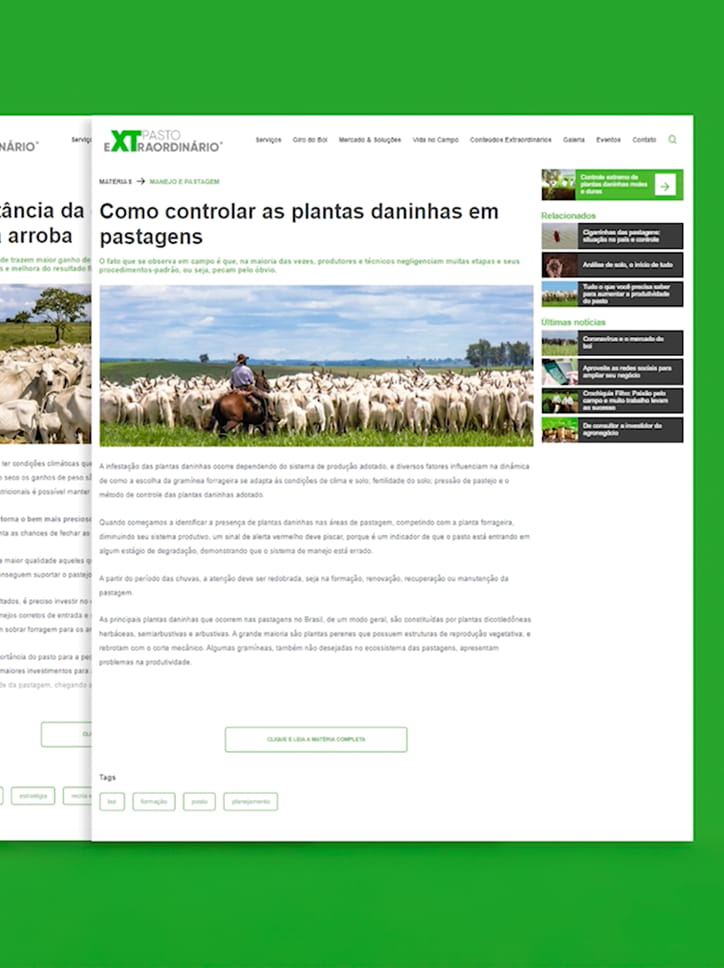 Telas do portal "Pasto Extraordinário", da Corteva.