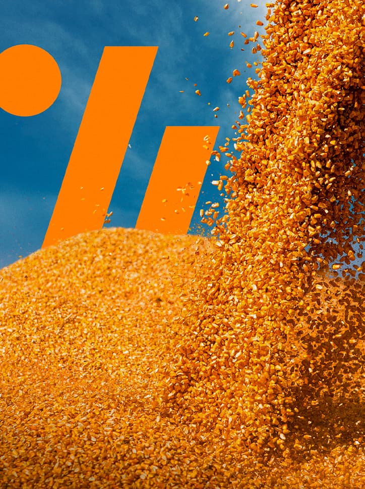 Imagem de grãos de milho sendo despejados, com o logo da Brevant Sementes.