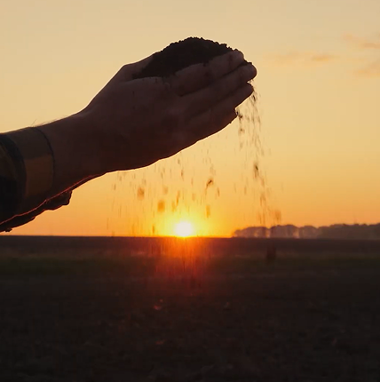 Mãos segurando um punhado de terra, deixando-a escorrer entre os dedos, com um campo agrícola e o pôr do sol ao fundo.