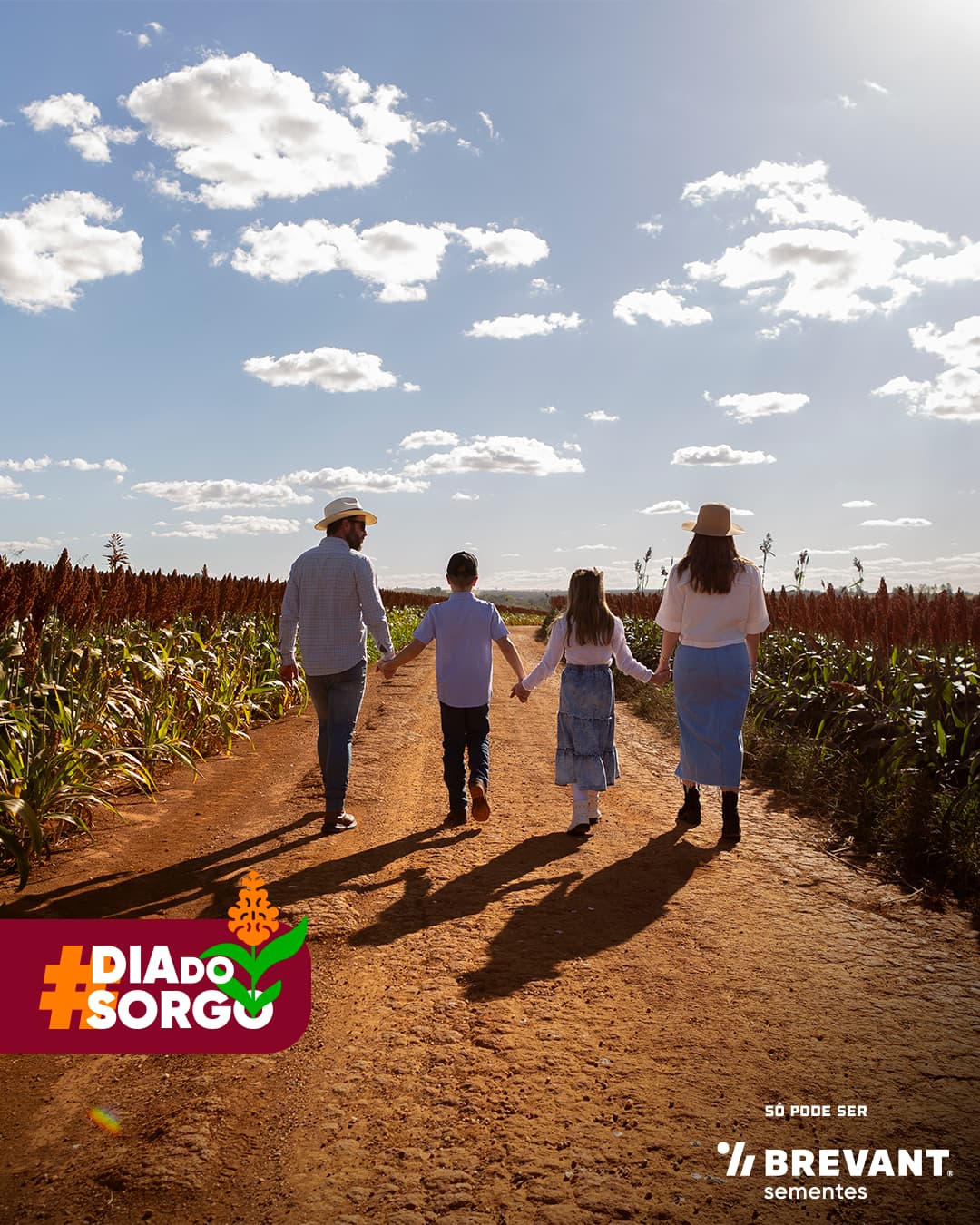 Post da Brevant Sementes para o '#DiaDoSorgo', mostrando uma família caminhando de mãos dadas em uma estrada de terra entre plantações de sorgo.